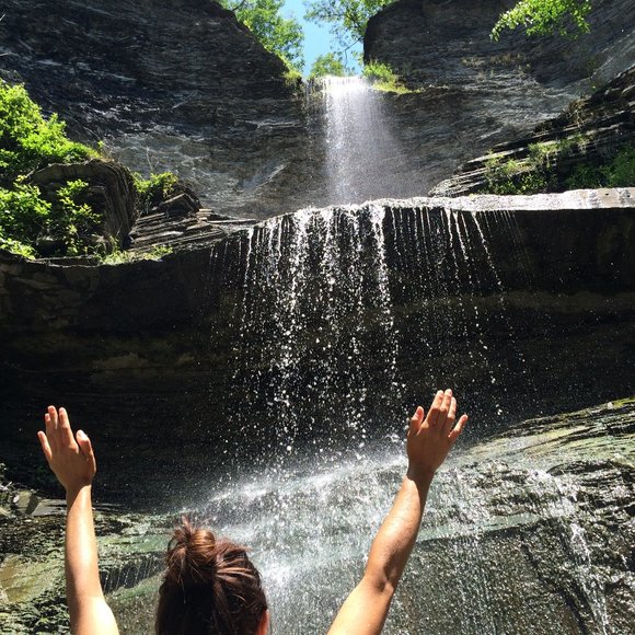 Meet your Posher, Piper - Picture 1 of 1